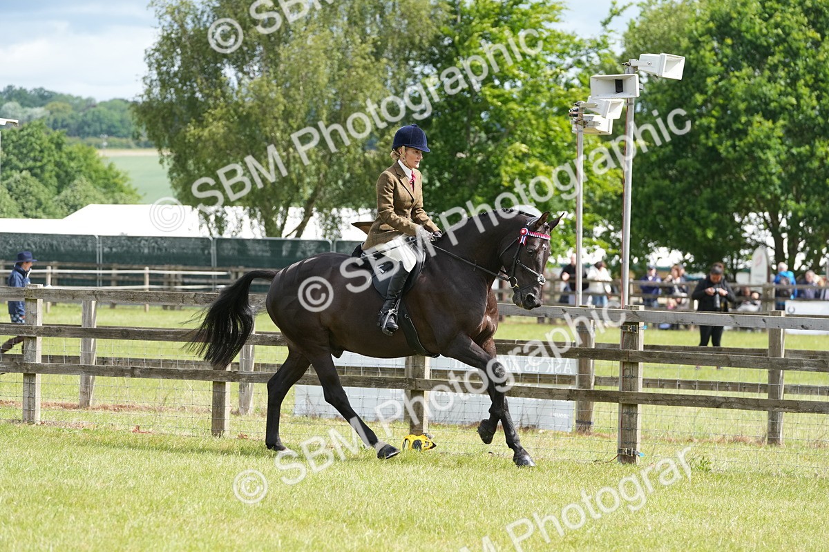 SBM_12920 - Class 99 - RIHS SEIB Working Show Horse