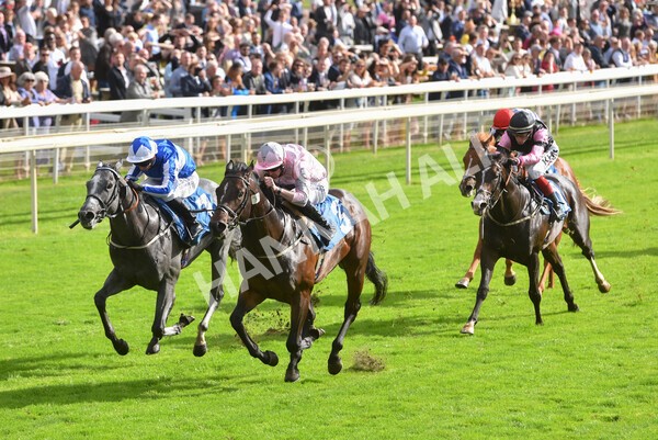 yr24092021r4-25 - Race 4 3.15pm William Hill Play Responsibly British EBF Restricted Novice Stakes