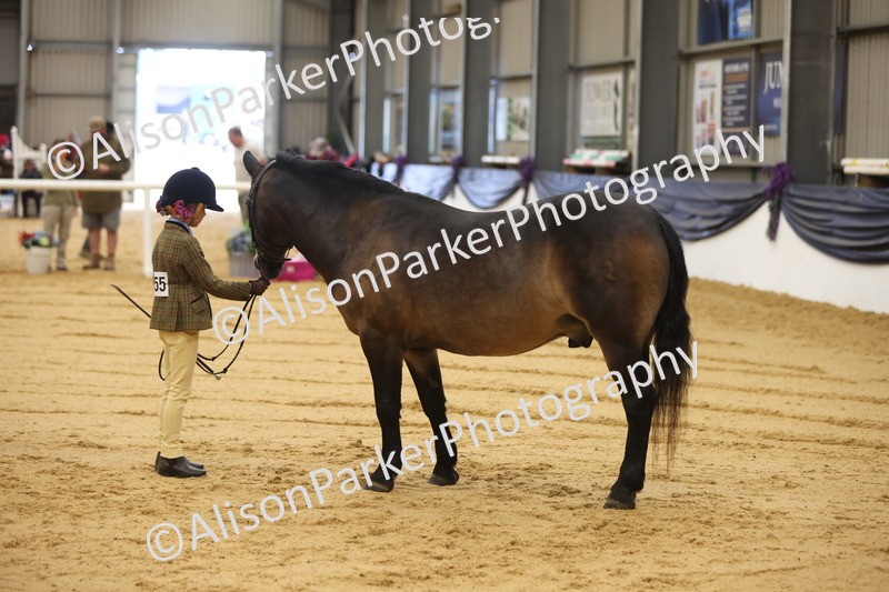 20260913-0106 - Class 121 - Young Handler 5-16