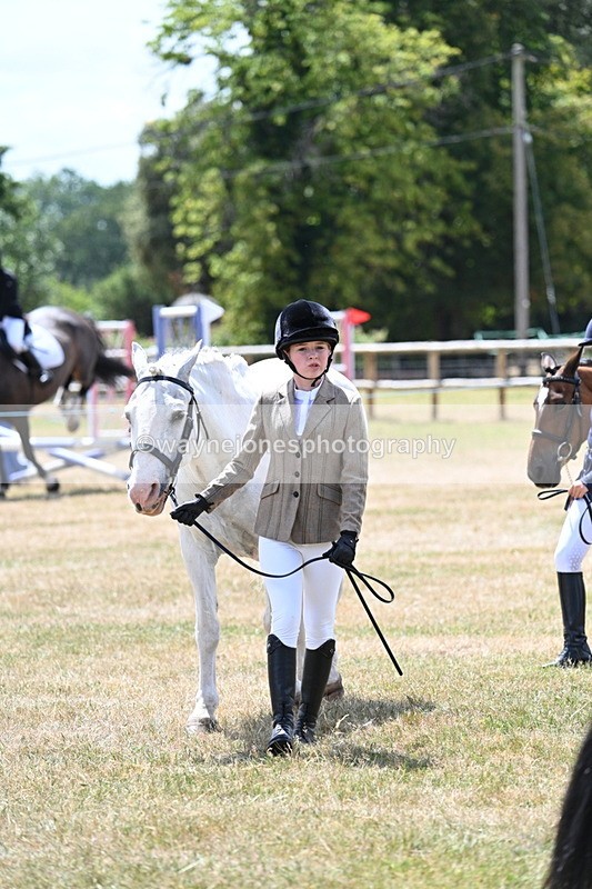WJ7_2149 - Class 5 Most Handsome Gelding (up to 14.2hh) in hand