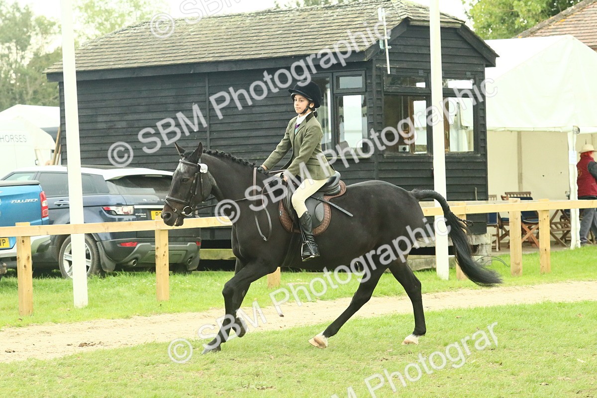 SBM_73989 - S 61 - Show Pony & Show Hunter Pony Ridden