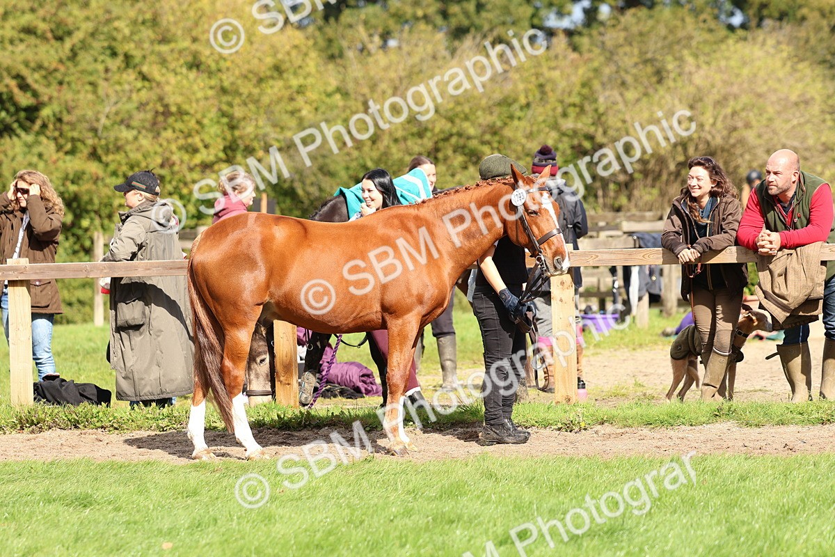 SBM_39419 - S24 - Young Veteran In Hand