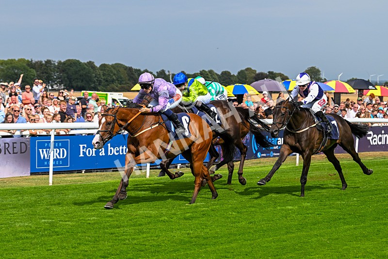 240825-Race 1-Light Speed-1464 - Race 1