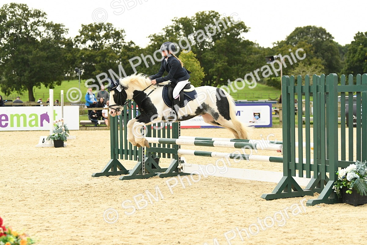 SBM_73139 - J16 - Junior Pony 75cm Championship