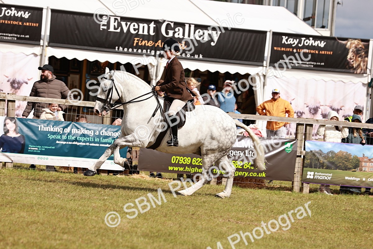 SBM_13124 - Class 85-87 - RIHS Cobs