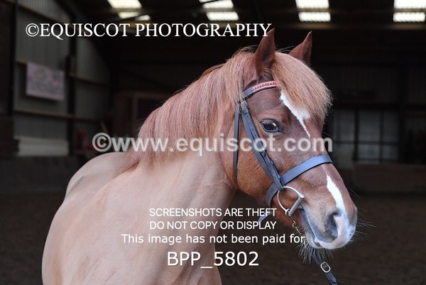 BPP_5802 - Sarah Page