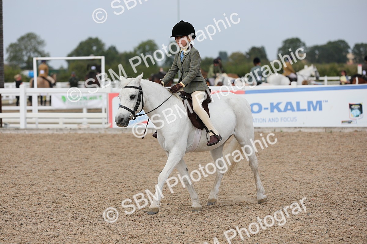 SBM_16925 - Class 314 Family Horse/Pony