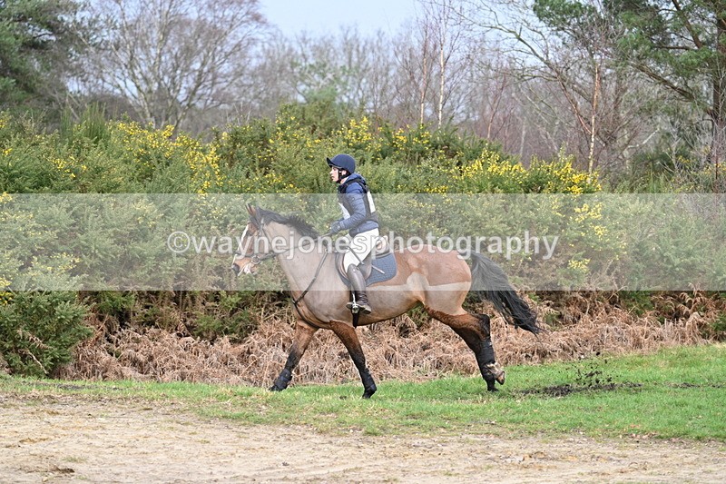 WJ7_8474 - Time 11:41 to 12:16