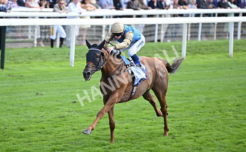 220826-007 Archivist - Race 1 13.50pm Sky Bet Strensall Stakes