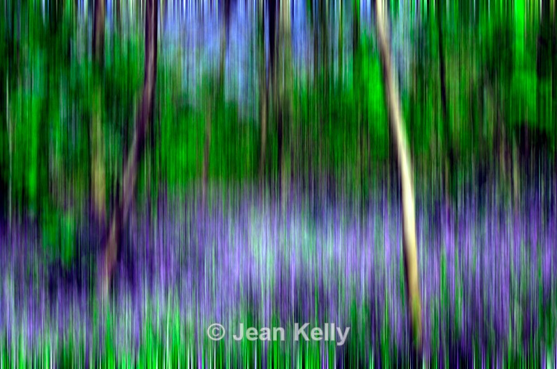 Tree - 8828 motion blur - Motion blur filter effect