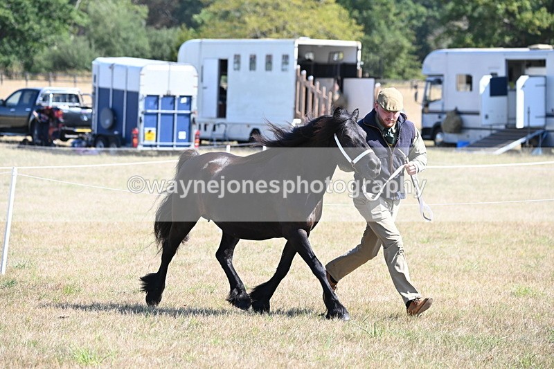 WJ6_4666 - Class 17 Mountain & Moorland