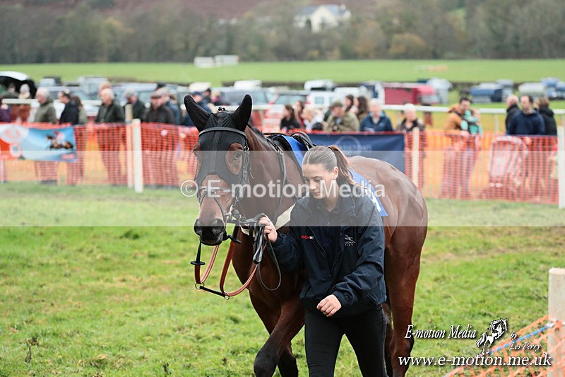 PtP 091125 0471 - Point-to-Point Wales Area Club Lower Machen, Gwent 09/11/25