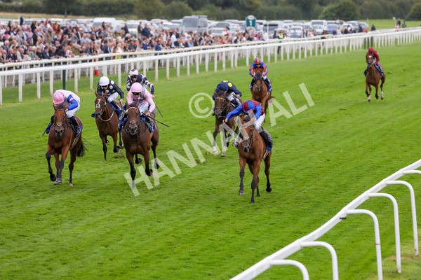 220824-Race 4-Content-7684 - Race 4 3.35pm Pertemps Network Yorkshire Oaks