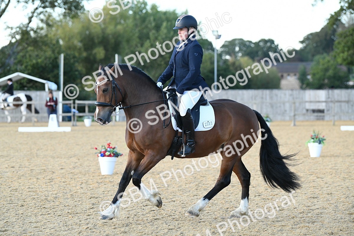 SBM_30949 - D16 - Small Tour Championship - Novice 28