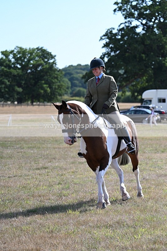 WJ7_2831 - Class 8 Ridden Tack & Turnout