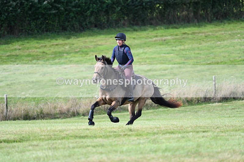 WJ7_6283 - Time 11:29 to 11:45