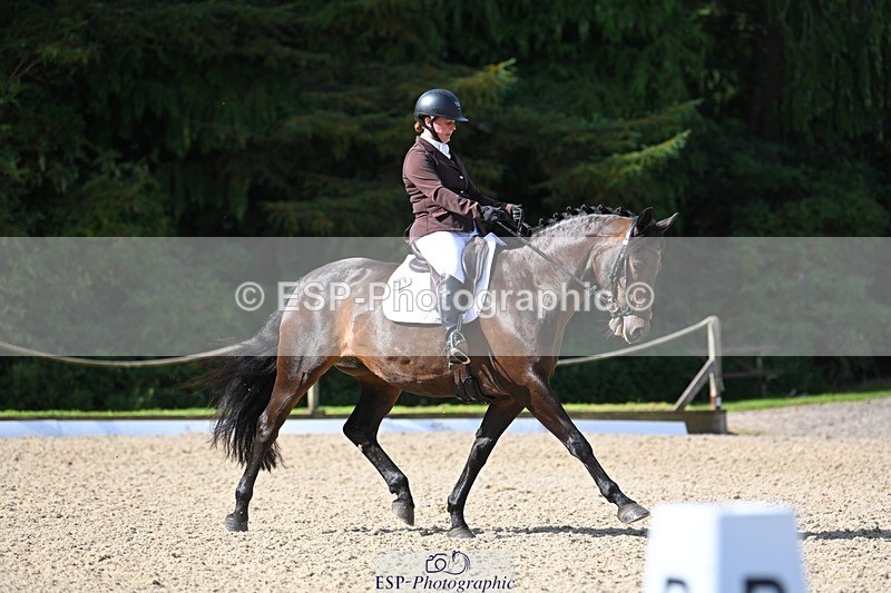 230811-095546-00177 - Cls 3 Adv Medium Bronze Start to 10.25 break