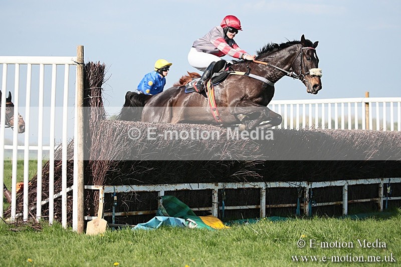 PtP 210418 532 - South & West Wilts Point-to-Point Larkhill 21/04/18