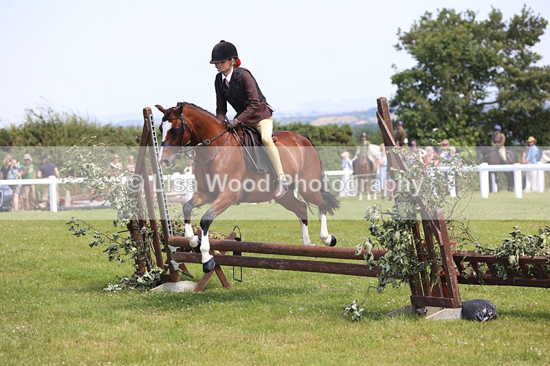 JPP_2640 - Class 21: Working Hunter 60cm