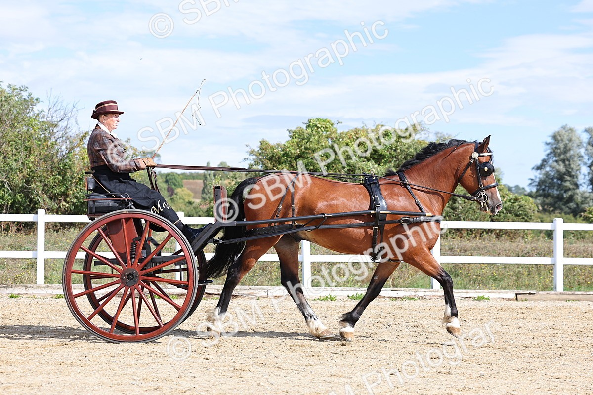 SBM_000885 - Class 8 - Novice Horse or Pony to any vehicle