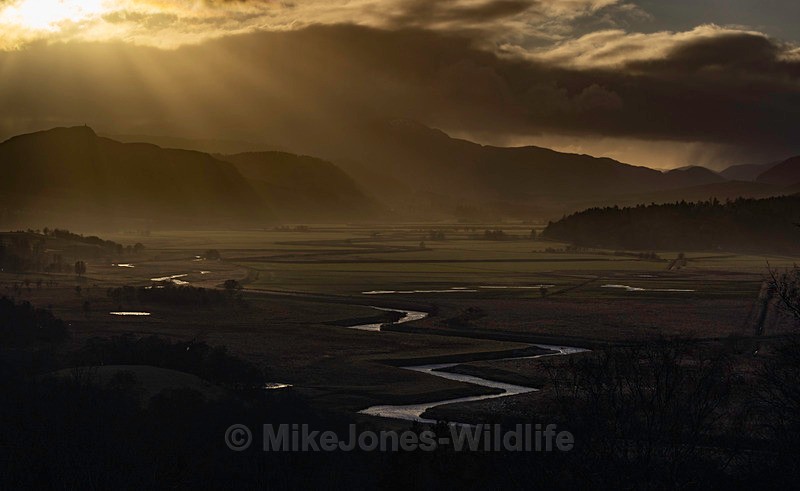 CAIRNGORM LANDSCAPE 2025 10 - Latest projects, Cairngorms Deer, Boxing Hares, Landscapes...North Wales, Birds