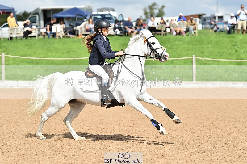 230902A-130814-01329 - Cls 3A Pony Medium 80cm