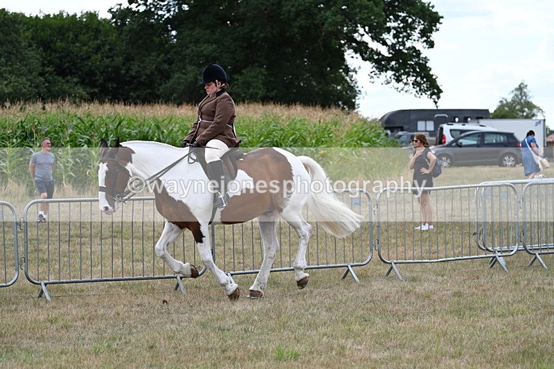 WJ7_5056 - Class 12 Ridden Cob