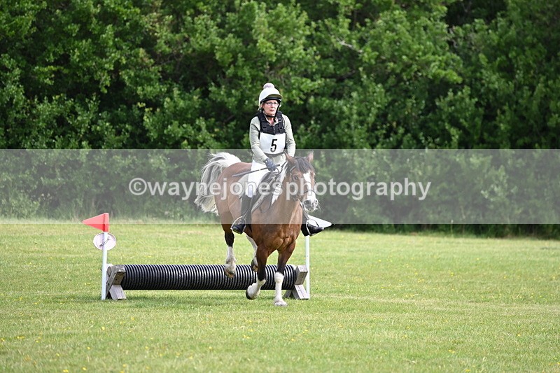 WJ6_2311 - Class 2 40cm