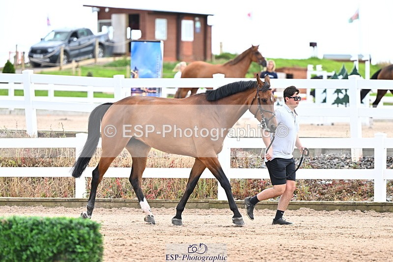 240718A-105325-01990 - Trot Up 2pm to 3pm - This folder is not in time order
