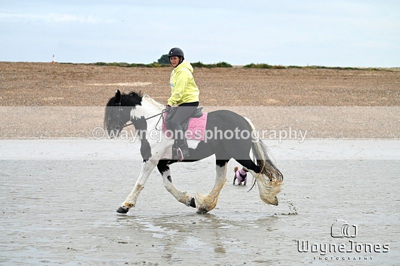 WJ7_8791 - Hayling Island Beach Shoot 22-09-24