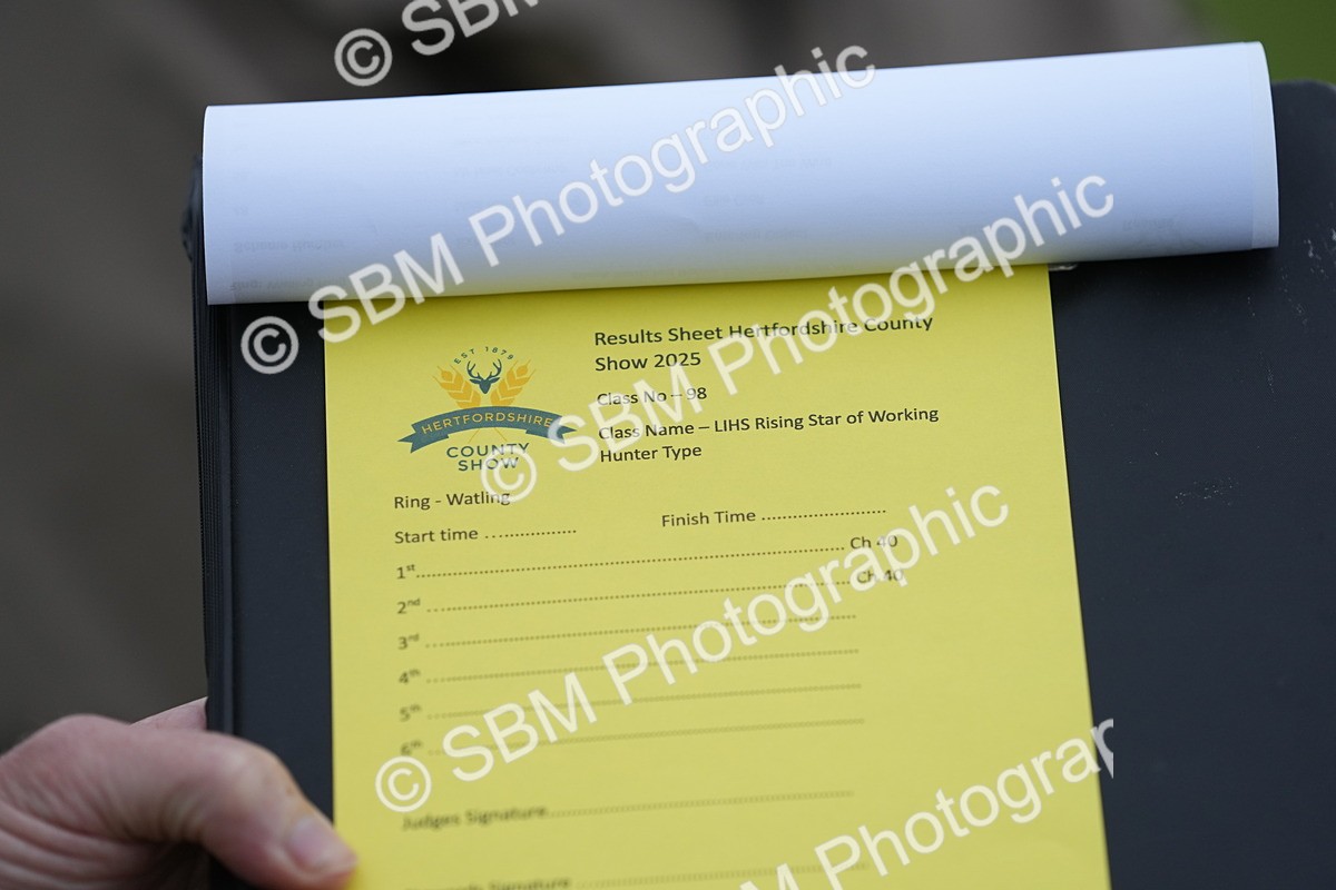 SBM_12514 - Class 97-98 - LIHS BSHA Rising Star Working Show Horse Hunter