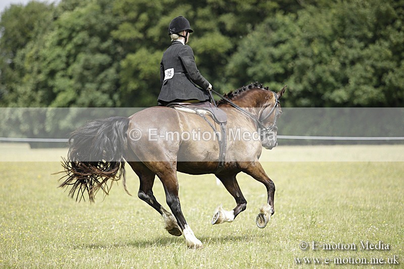 BVR160717-1974 - Side Saddle Classes 16/07/17