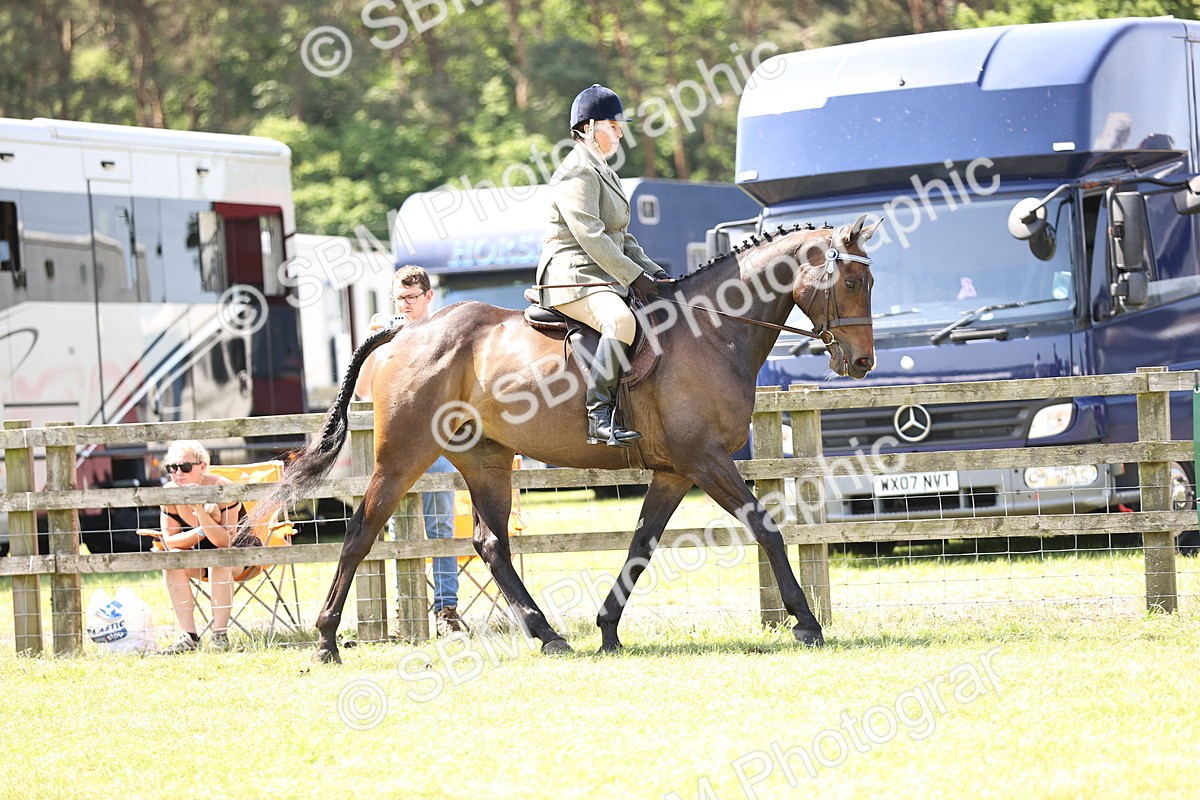 SBM_14826 - Class 78 - LIHS BSHA Open Racehorse & Show Horse