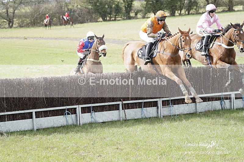 PtP 180323 474 - Shelfield Park Races with Croome & West Warwickshire Hunt  18/03/23
