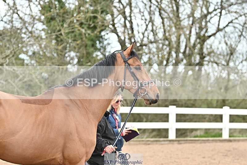 240417A-125331-00209 - 12pm to 1pm