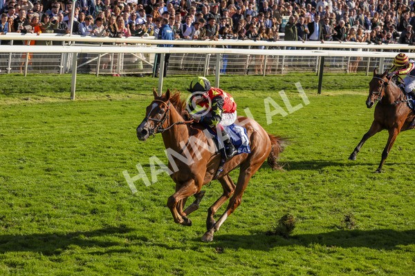 141023-Race 3-Montassib-0417 - Race 3 2.25pm Coral Sprint Trophy Handicap