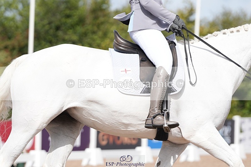 250906-122443-02333 - 070-Charlotte.DoreyDeards.Silver.Bounce