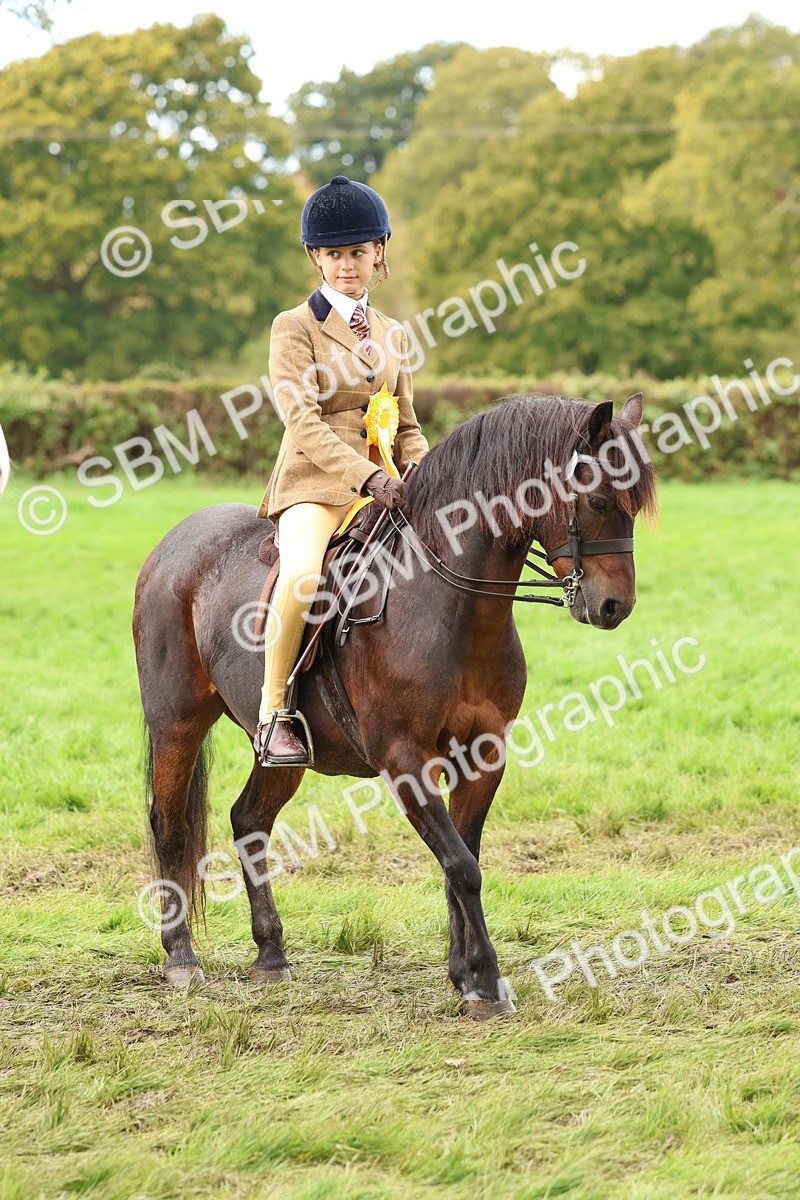 SBM_45130 - S27 - Young Veteran Ridden