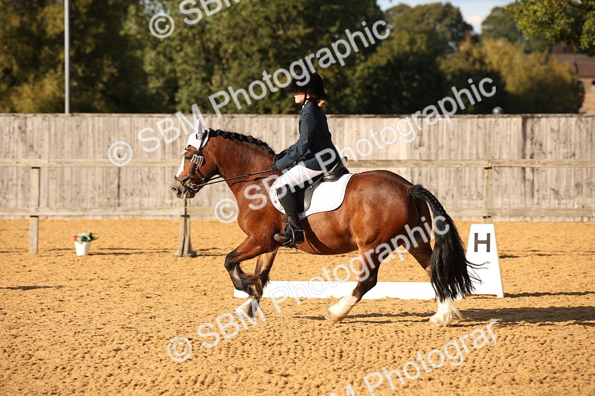 SBM_28349 - D11 - Small Tour Championship - Prelim 13