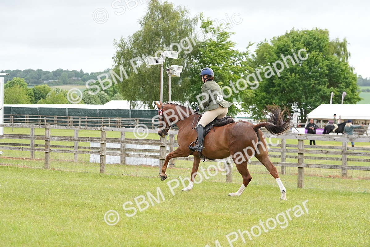 SBM_10612 - Class 97-98 - LIHS BSHA Rising Star Working Show Horse Hunter