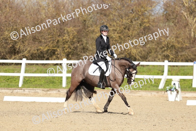 20260314-2949 - DR3 - Prelim 1