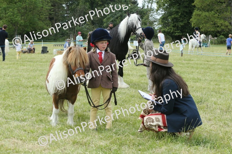 20260614-4285 - Class 18 - Best Junior Handler