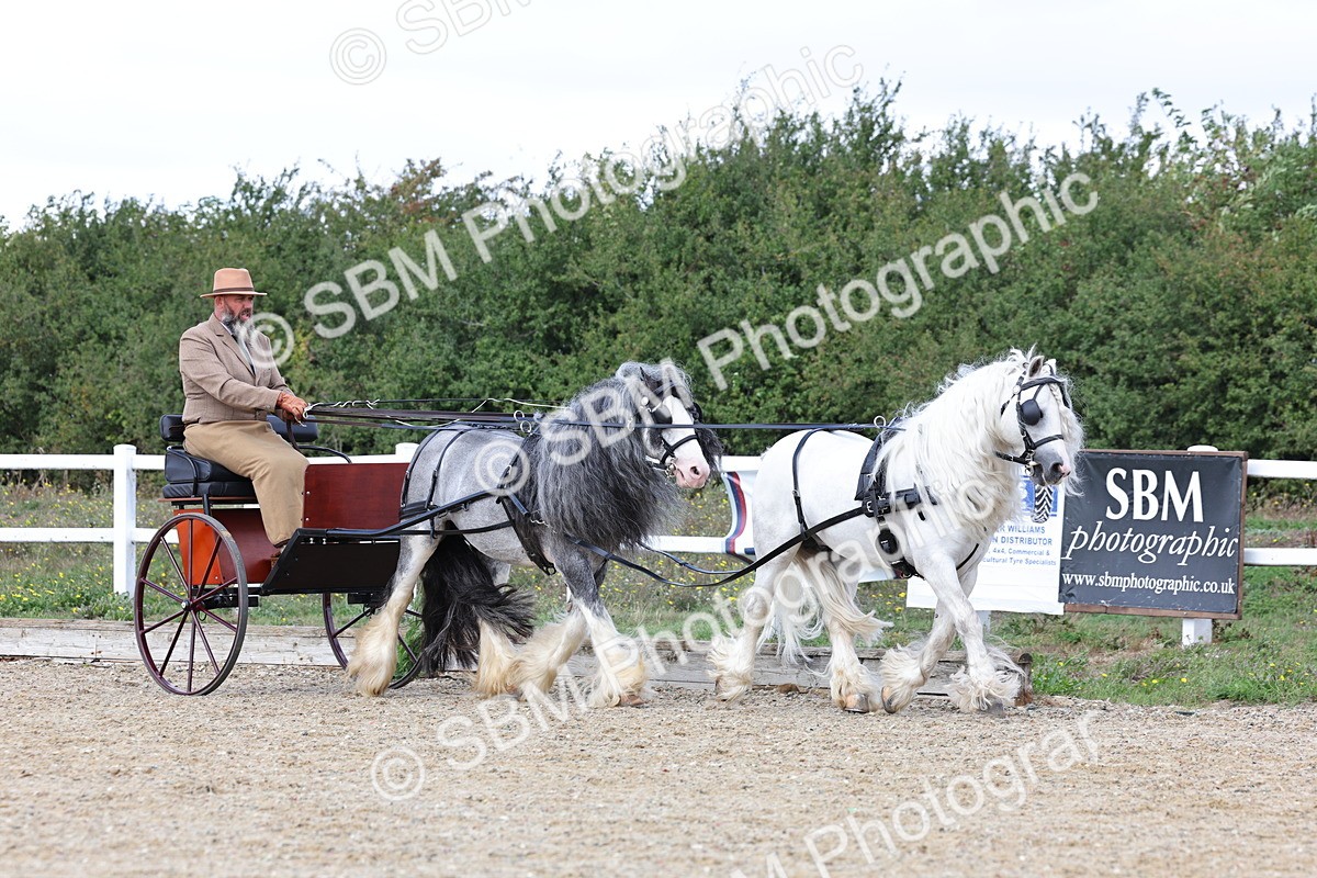 SBM_001143 - Class 16 - Pairs ,Multiples and Tandems