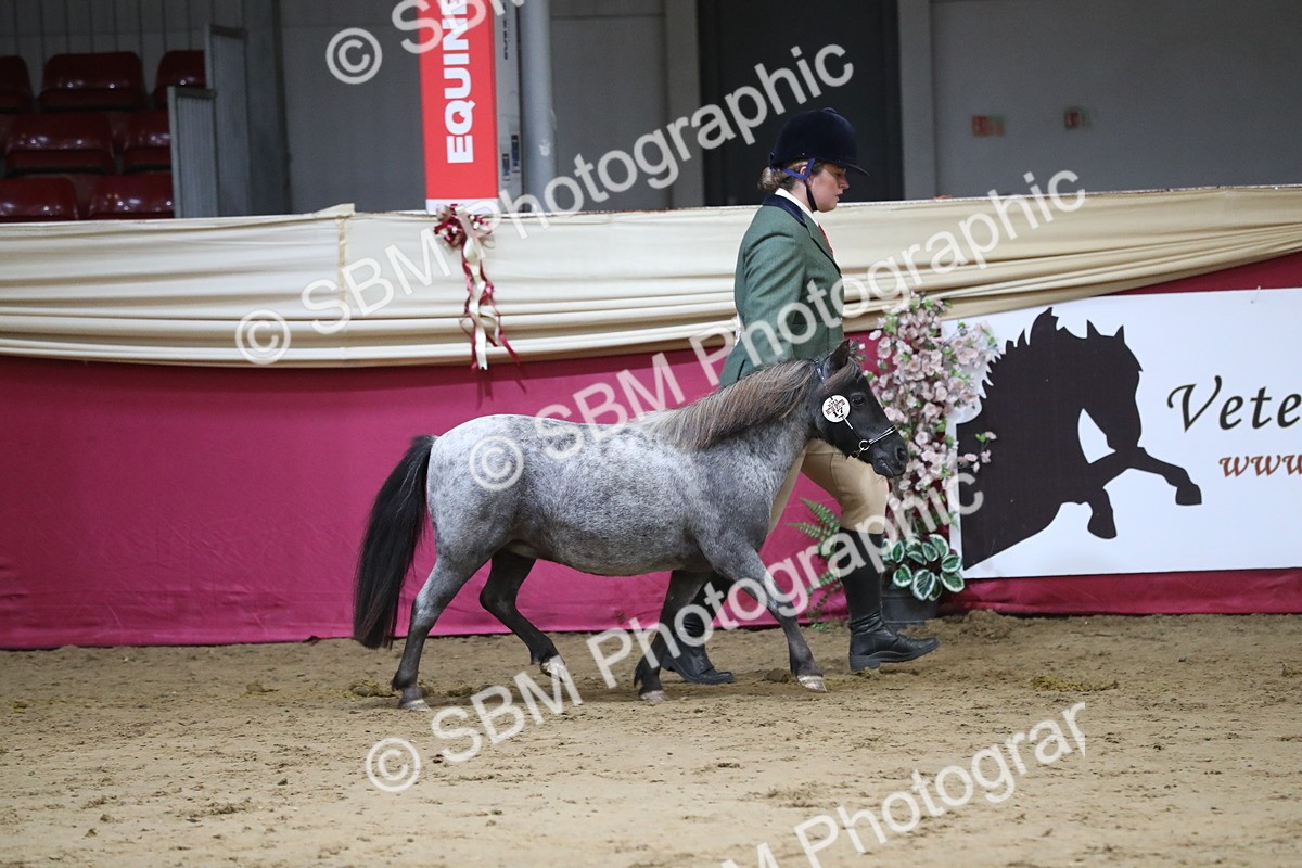 SBM_06294 - Class 9R Regional- IH Pre Vet