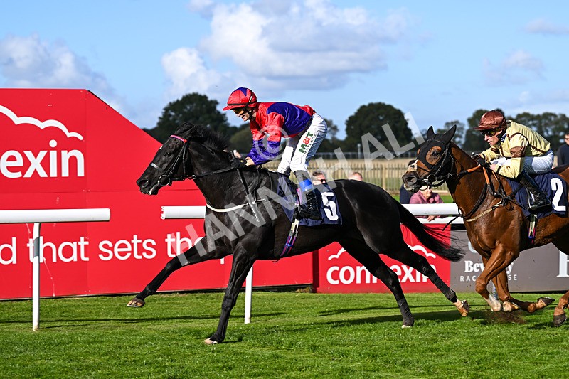 230925-Race 5-It Just Takes Time-1308 - Race 5