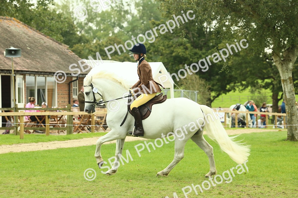 SBM_72180 - S60 - Mountain & Moorland Ridden Large Breeds