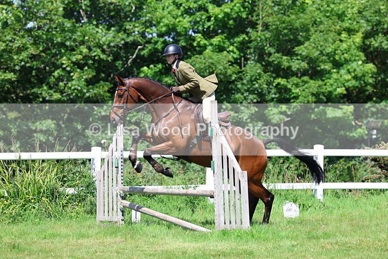 3E7A7078 - Class 30: Novice Working Hunter