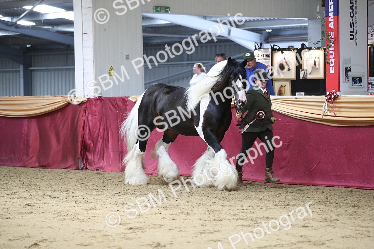 SBM_06486 - Class 9R Regional- IH Pre Vet