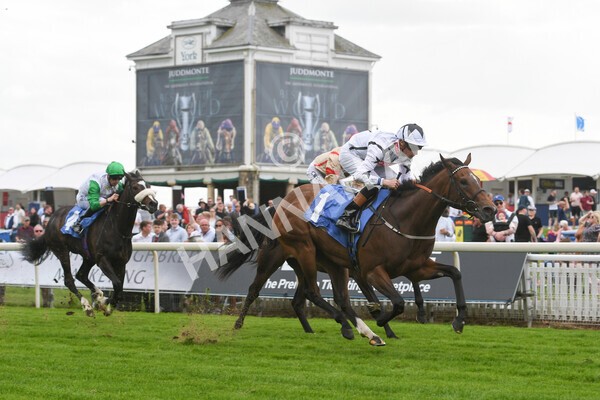 yr10062022r6-19 - Race 6 4.40pm No 1 York by GuestHouse Hotels British EBF Novice Fillies Stakes