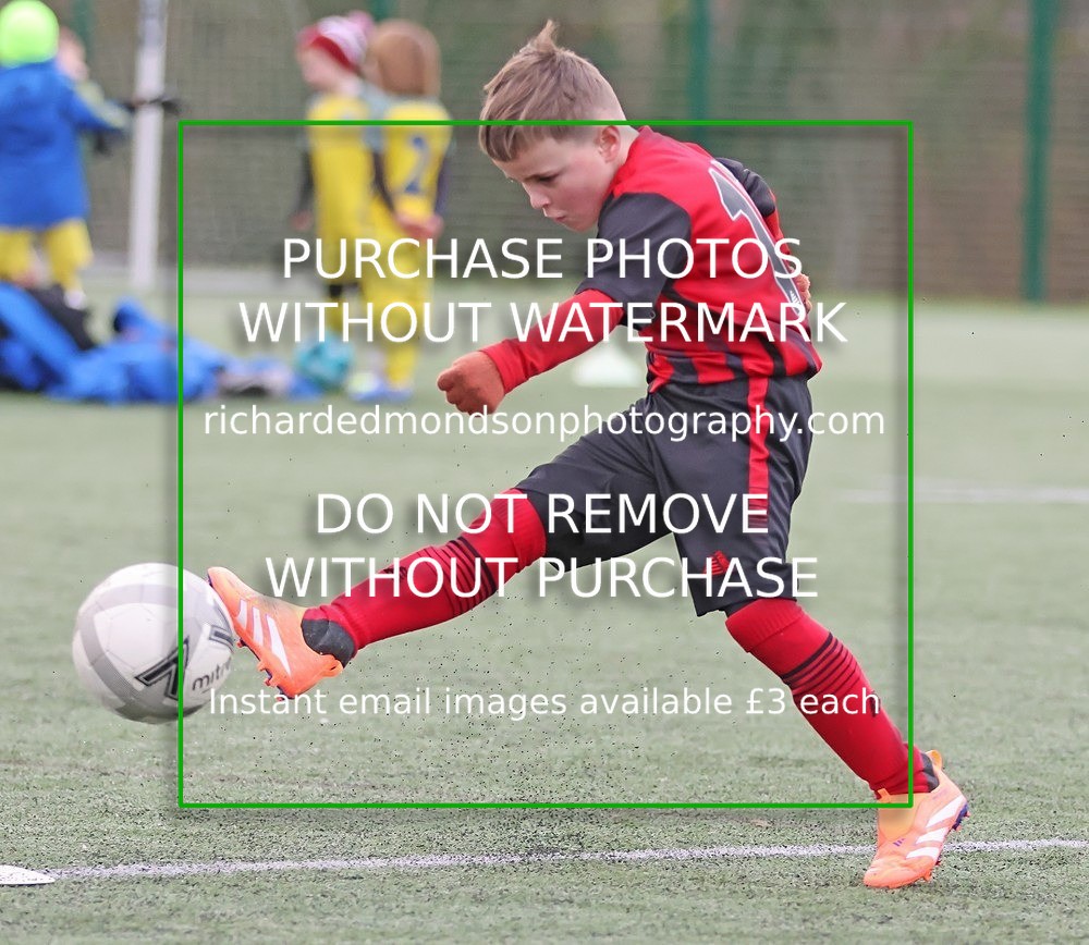 533A9140 - Dalton Juniors